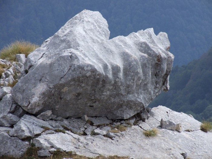 Sculture naturali